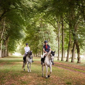 Horseback Riding in Versailles