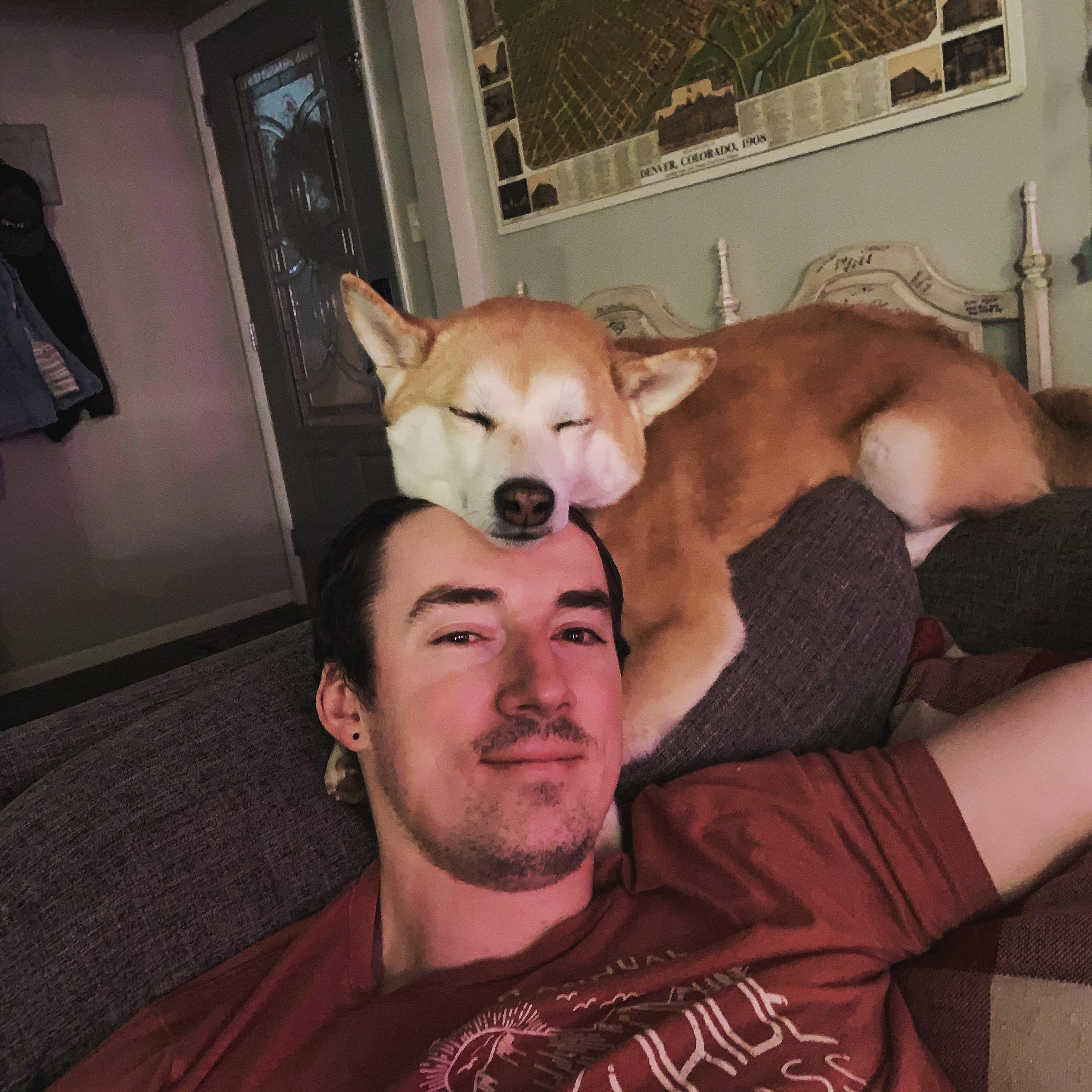 Don't worry, Django loves Josh too