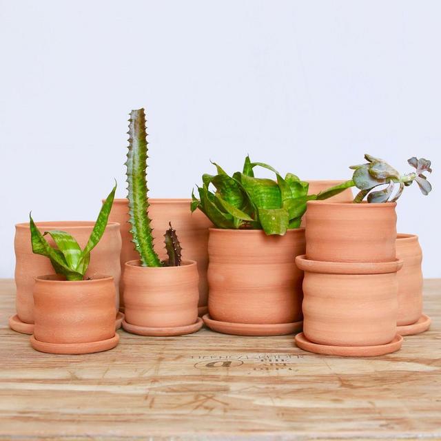 Tierney Kreider Curvy Terracotta Planter