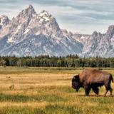 Grand Teton National Park