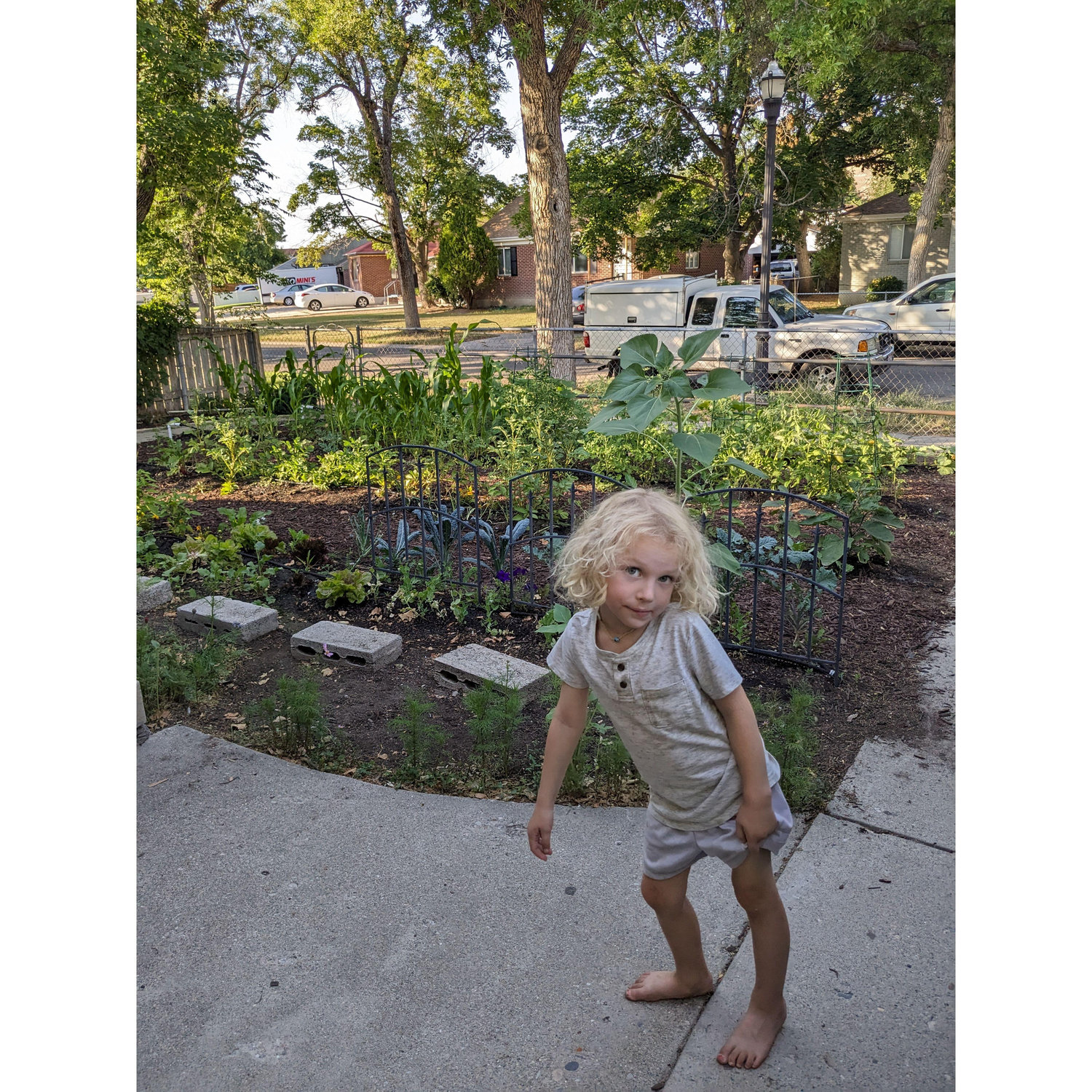 The first spring of our front yard garden!