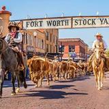 Fort Worth Stockyards Station