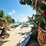Foxy's, Jost Van Dyke, British Virgin Islands