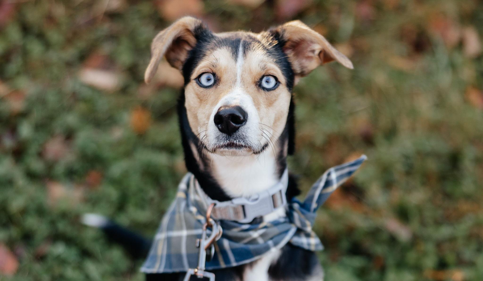 Hero Slideshow Image 2