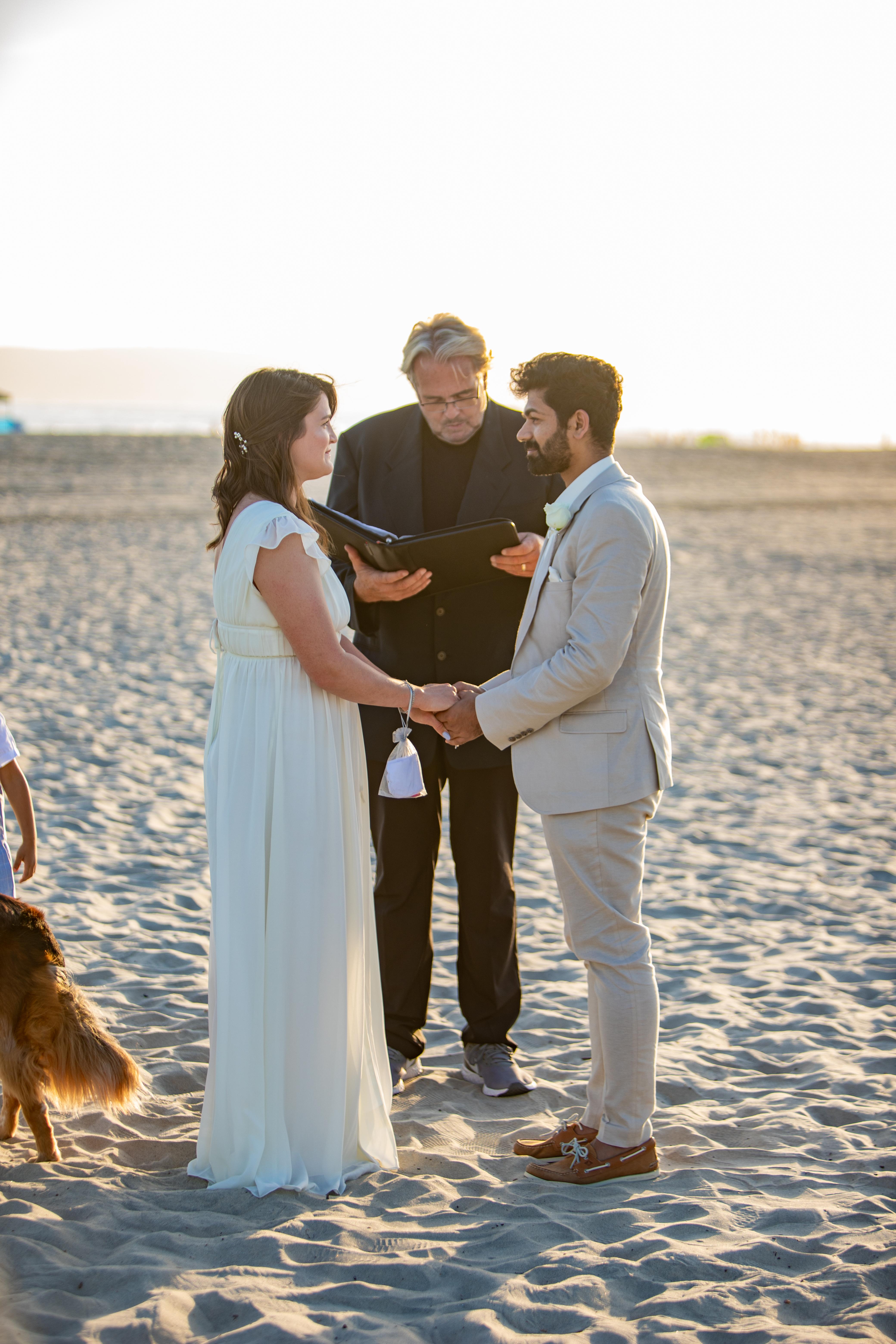 The Wedding Website of Shelby Chopra and Shubh Chopra