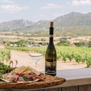 Wine tasting in Italy
