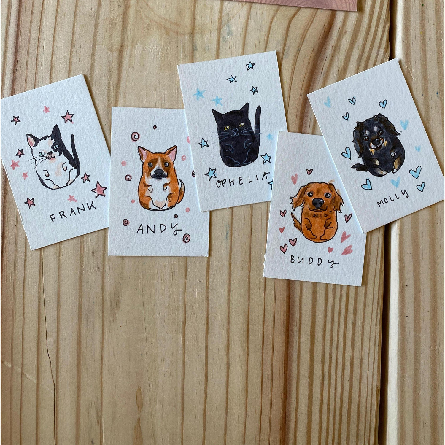 Our furry friends in cartoon form