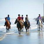 Seabrook Island Equestrian Center