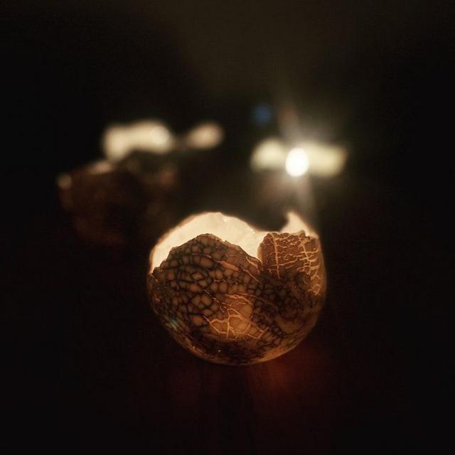 Bark Dino Votive