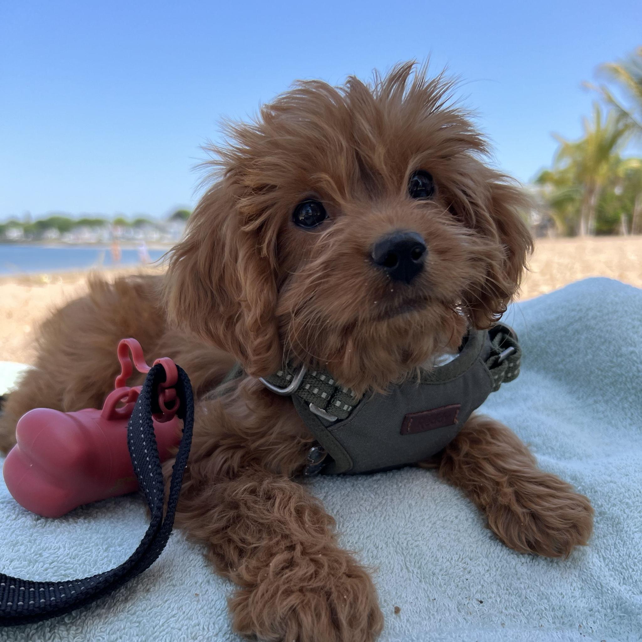 And we named her…..