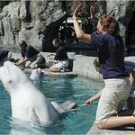 Mystic Aquarium