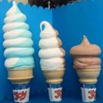 Belts' Soft Serve