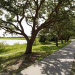 Walk the Wrightsville Beach Loop