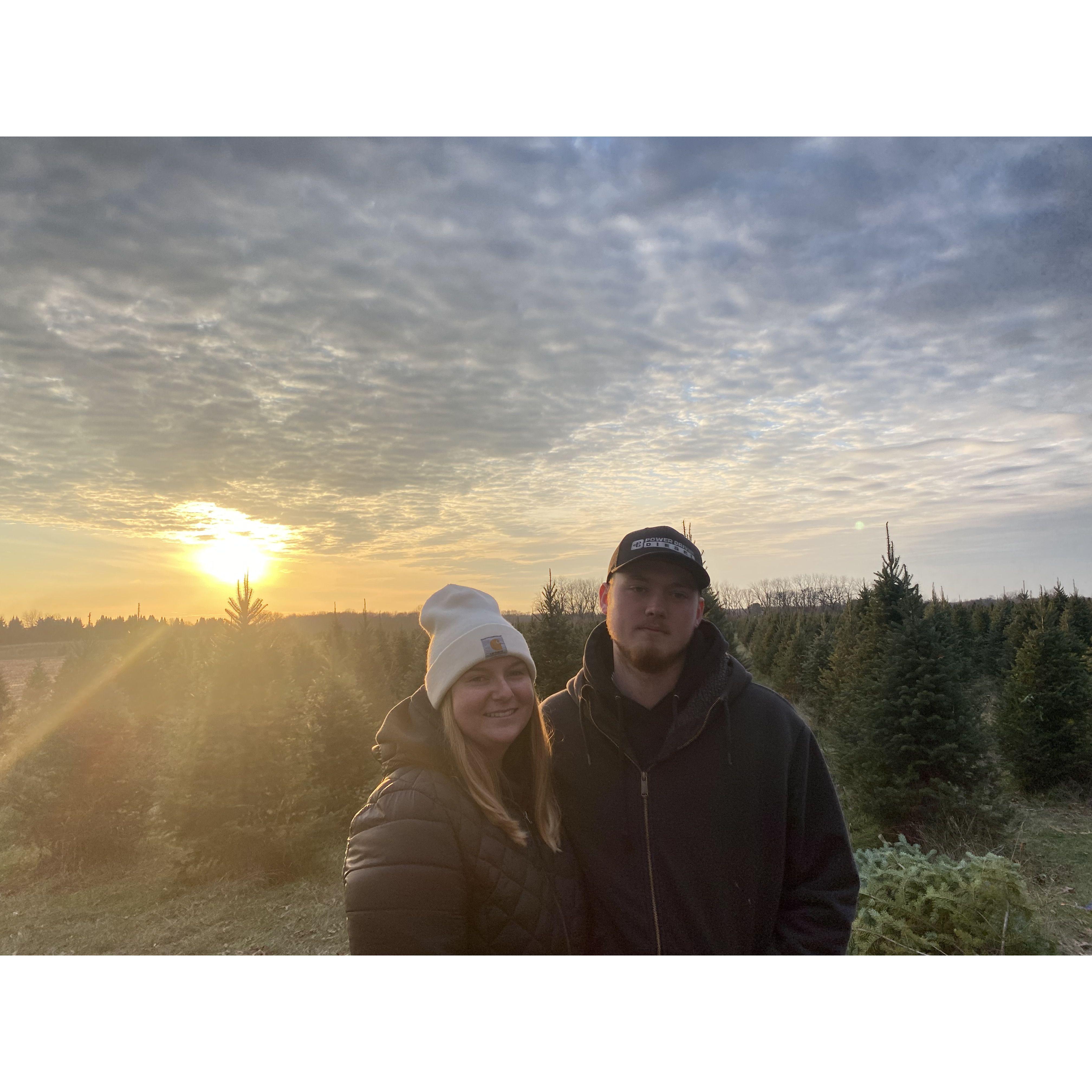 Getting our first Christmas tree together