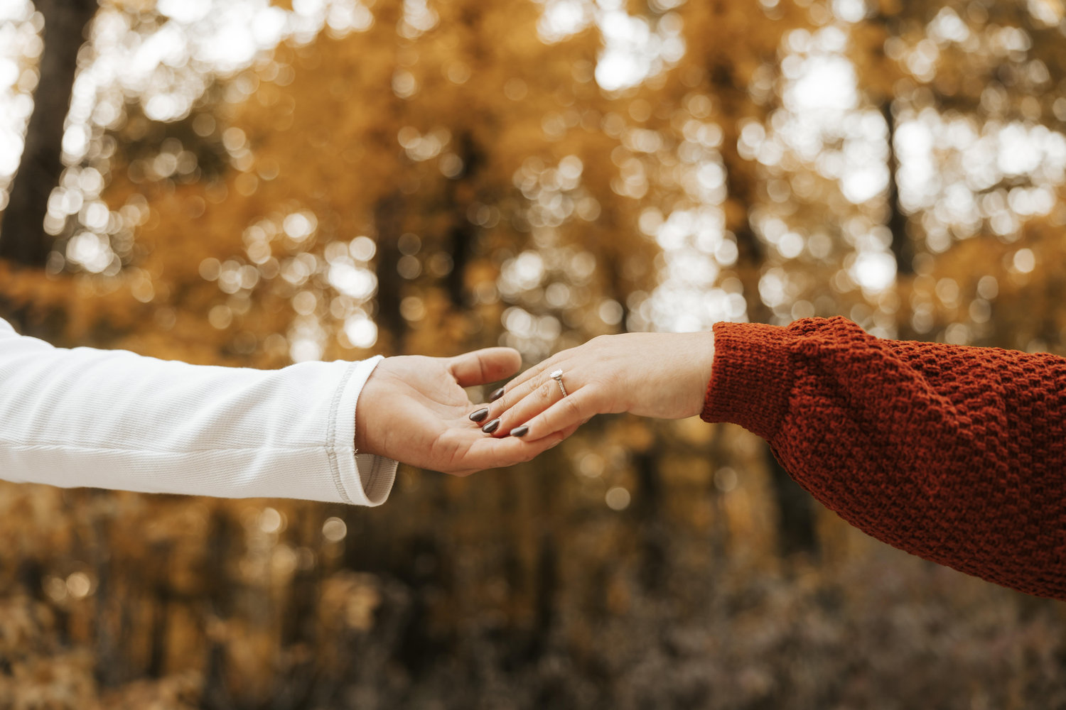 The Wedding Website of Jania Barth and Garret Ohloff