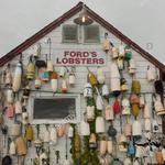 Ford's Lobsters