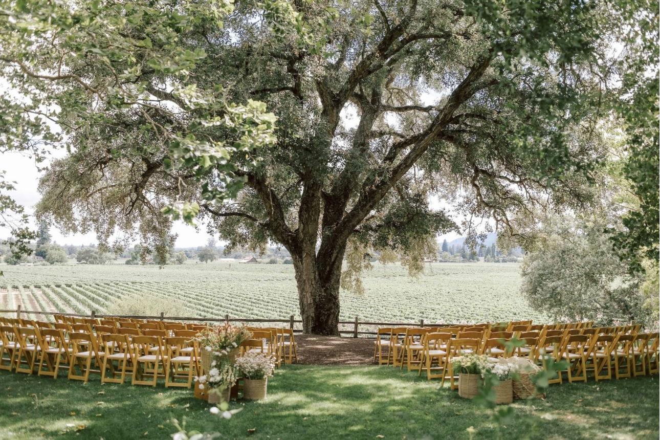 The Wedding Website of Bella Sophia Kouretas and Michael Douglas Perry