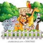 Audubon Zoo