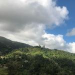 Bosque Estatal de Carite