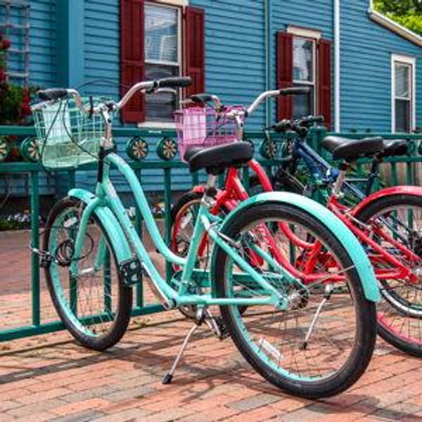 Honeymoon Bicycles for Two