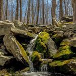 Ward Pound Ridge Reservation