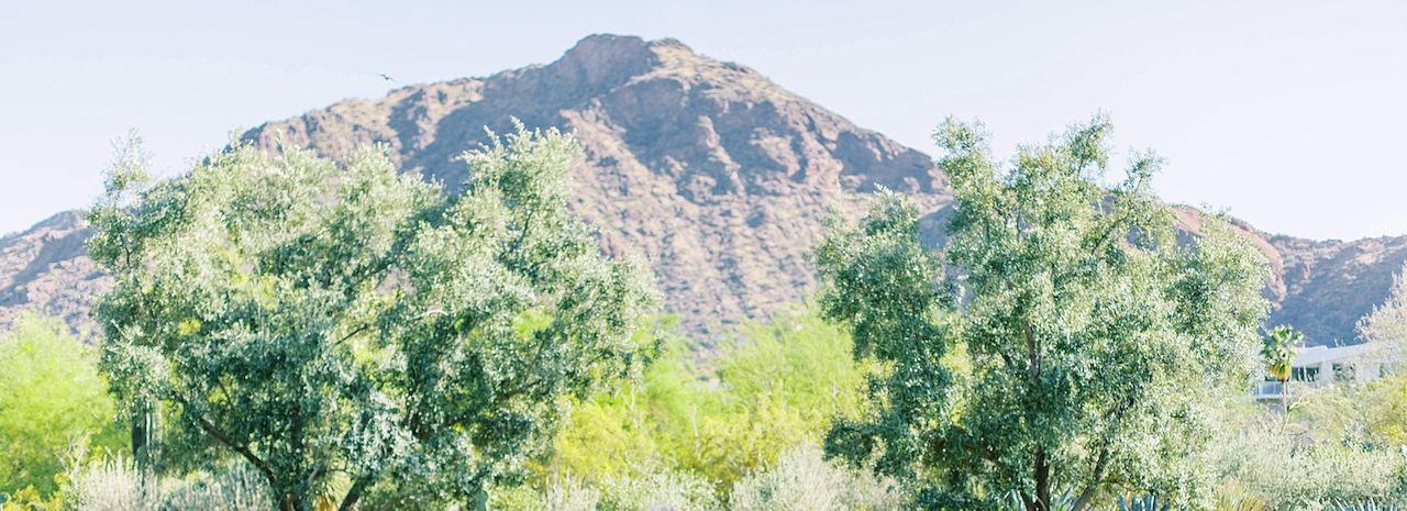 The Wedding Website of Lauren Amos and Palmer Campbell