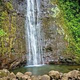 Manoa Falls