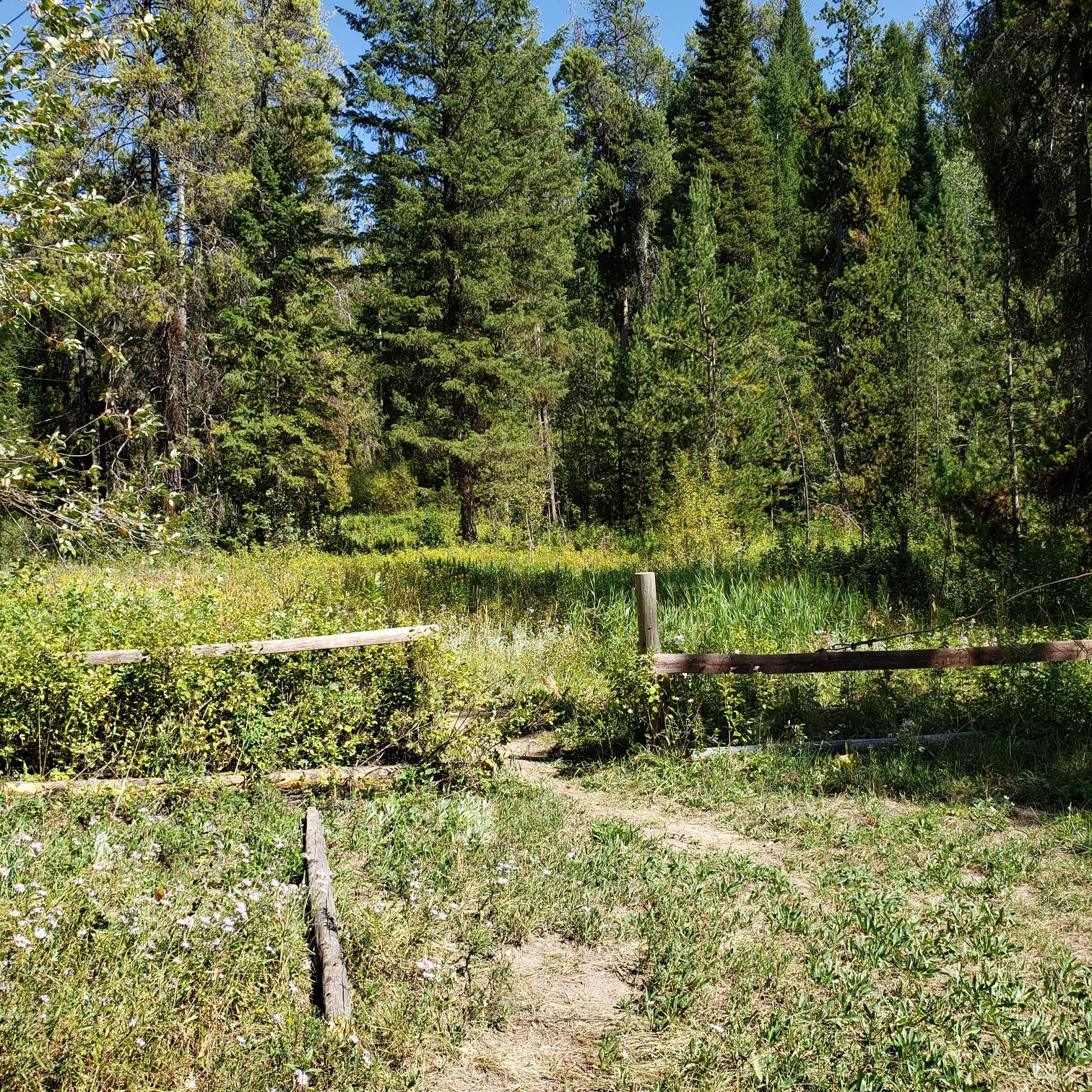 Walkway