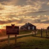 Bailey's Run Vineyard & Winery
