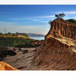 Torrey Pines State Reserve