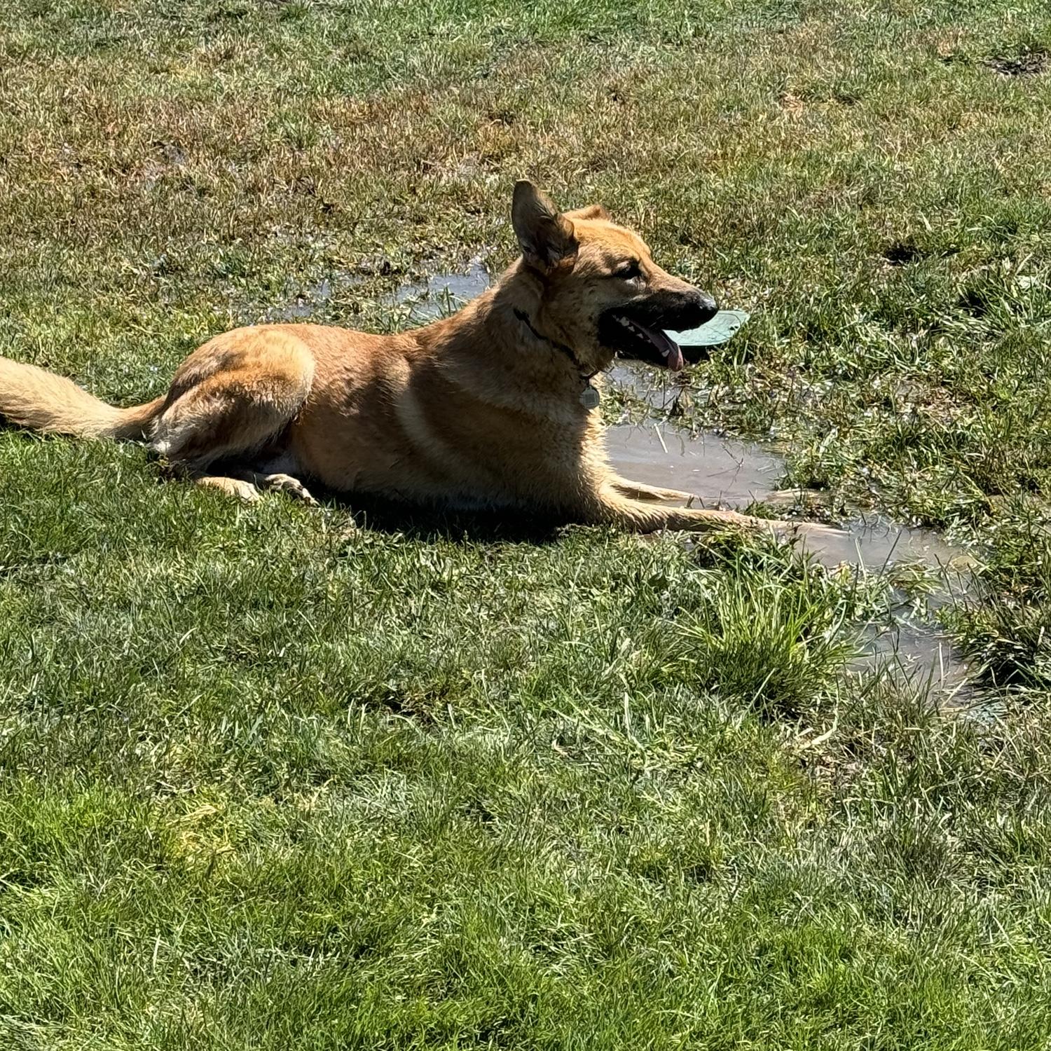 Thor and mud
