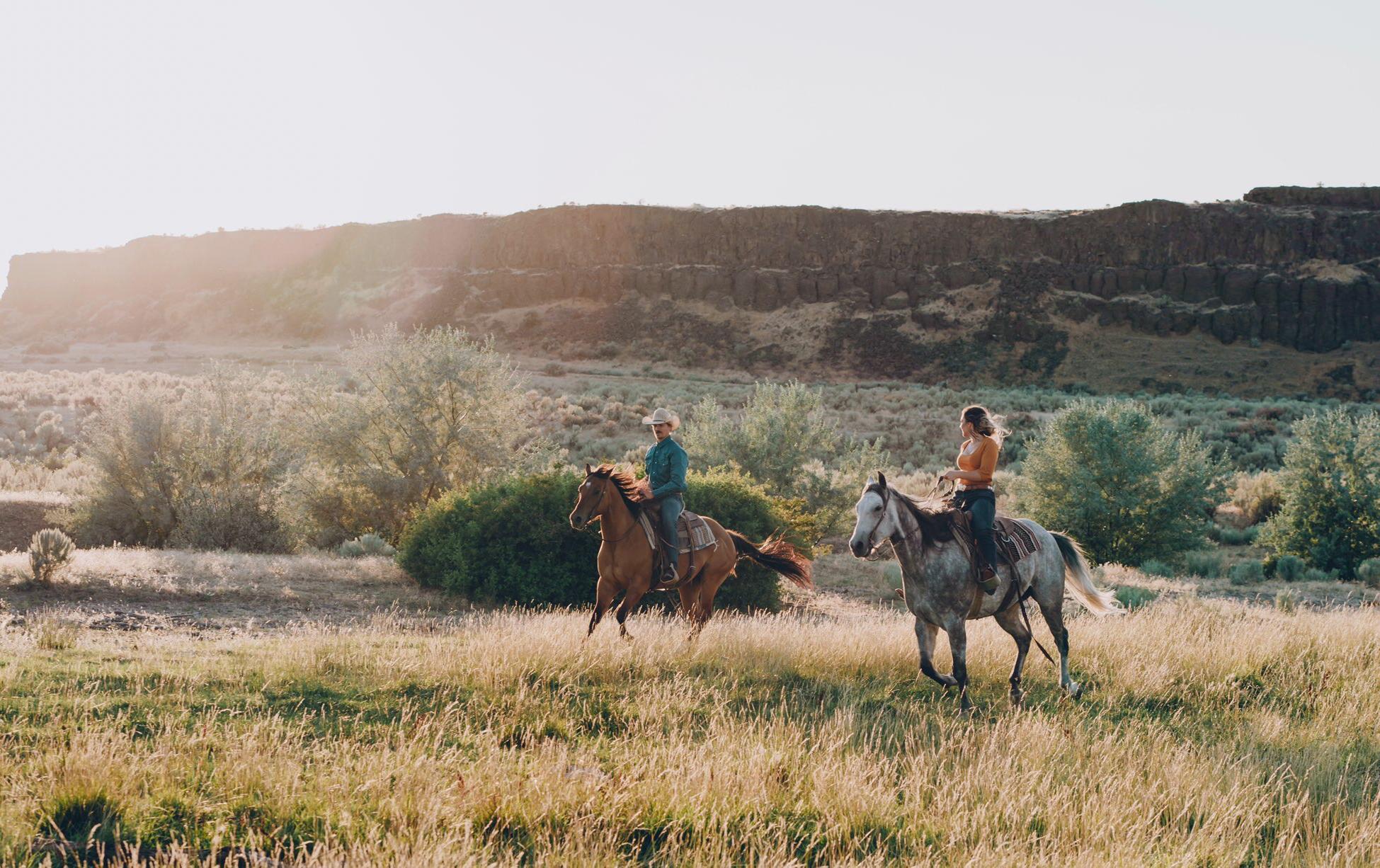The Wedding Website of Julisa Gonzalez and Asher Boyer