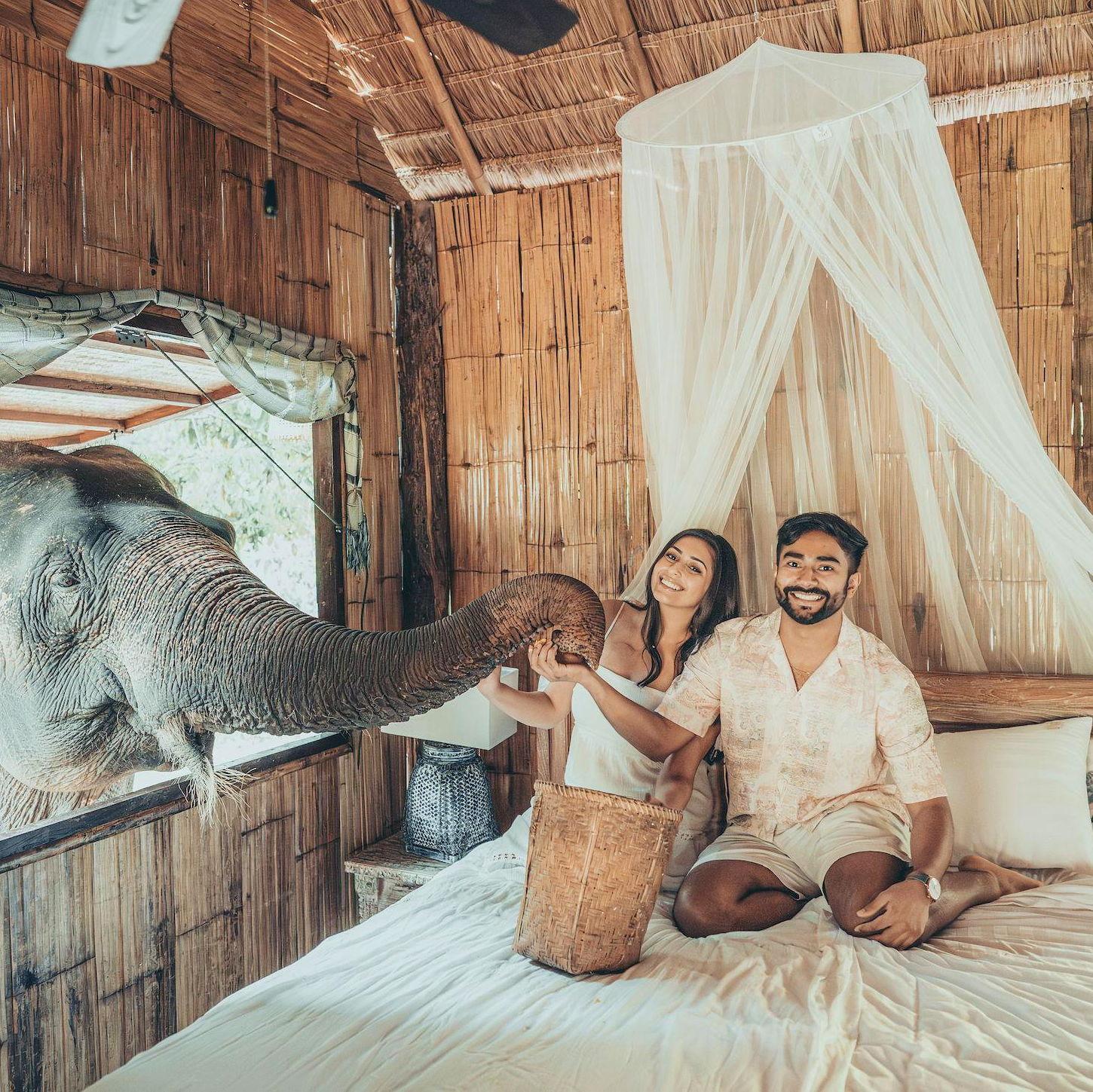 Our first international trip together - Thailand! This was taken as we spent a few days at an elephant sanctuary in Chiang Mai. It was a dream come true!
