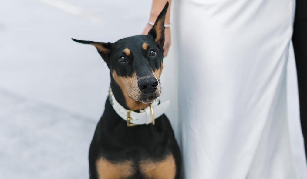 The Wedding Website of Haely Studebaker and Quinten Hunter