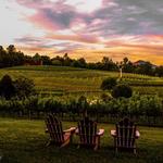 Crane Creek Vineyards