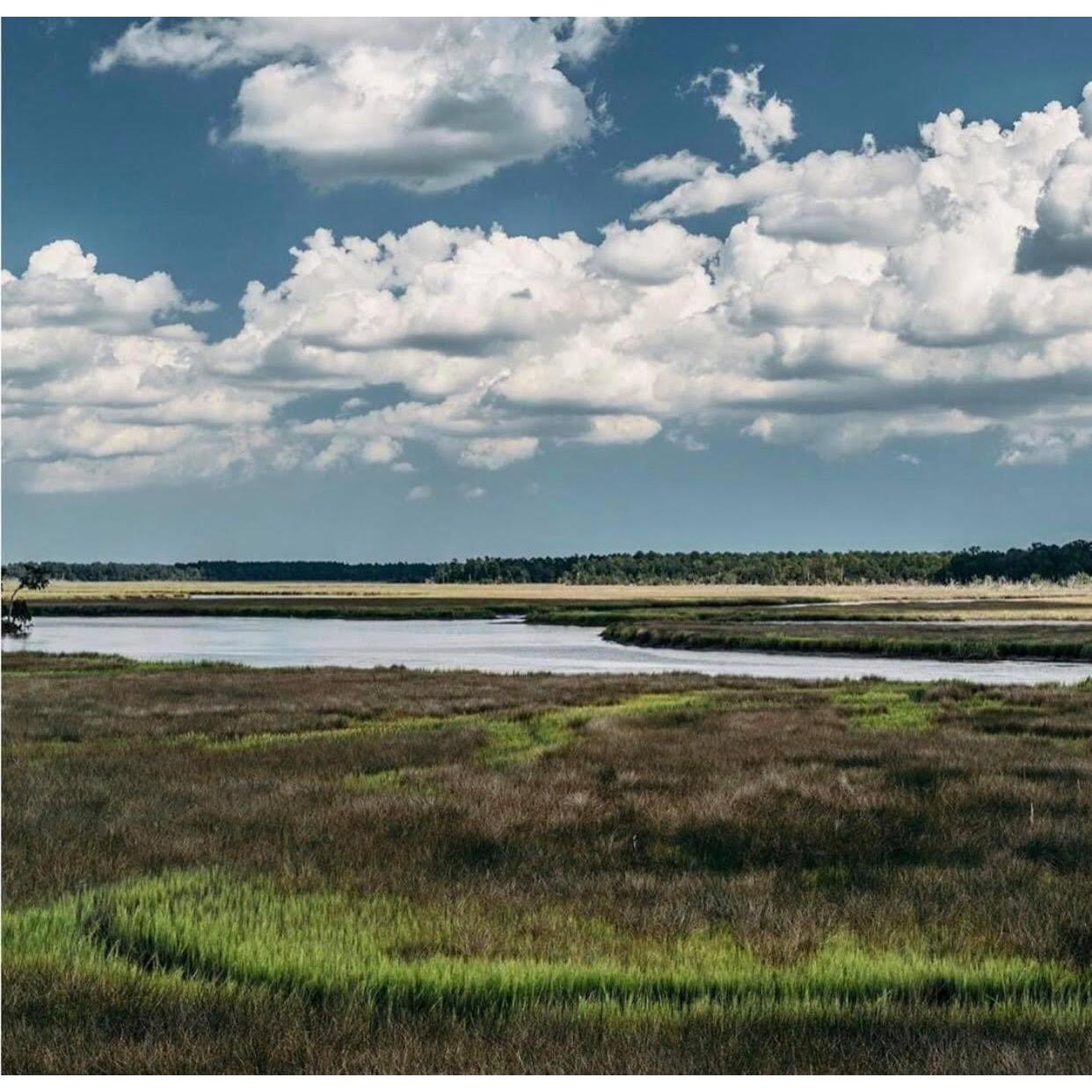 Mobile Bay and its river system are the most diverse in North America, frequently called America's Amazon.