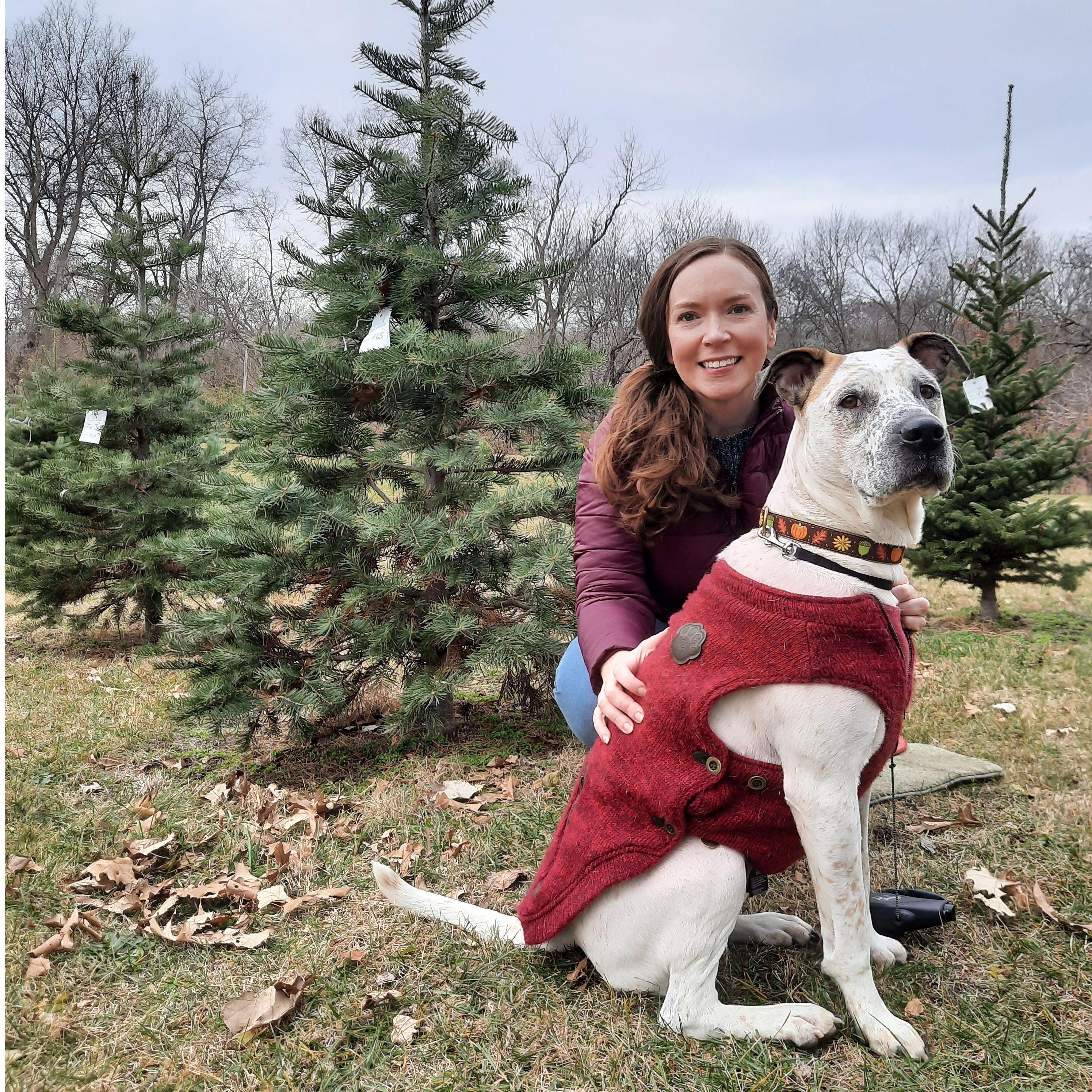 Our first Christmas Tree. Karla insisted on cutting it down, and Rainy insisted on checking it for squirrels!