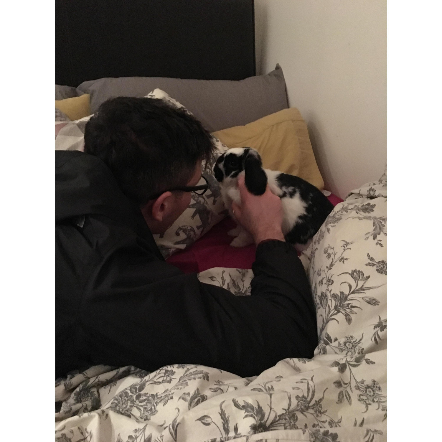 Loki, Steves first pet