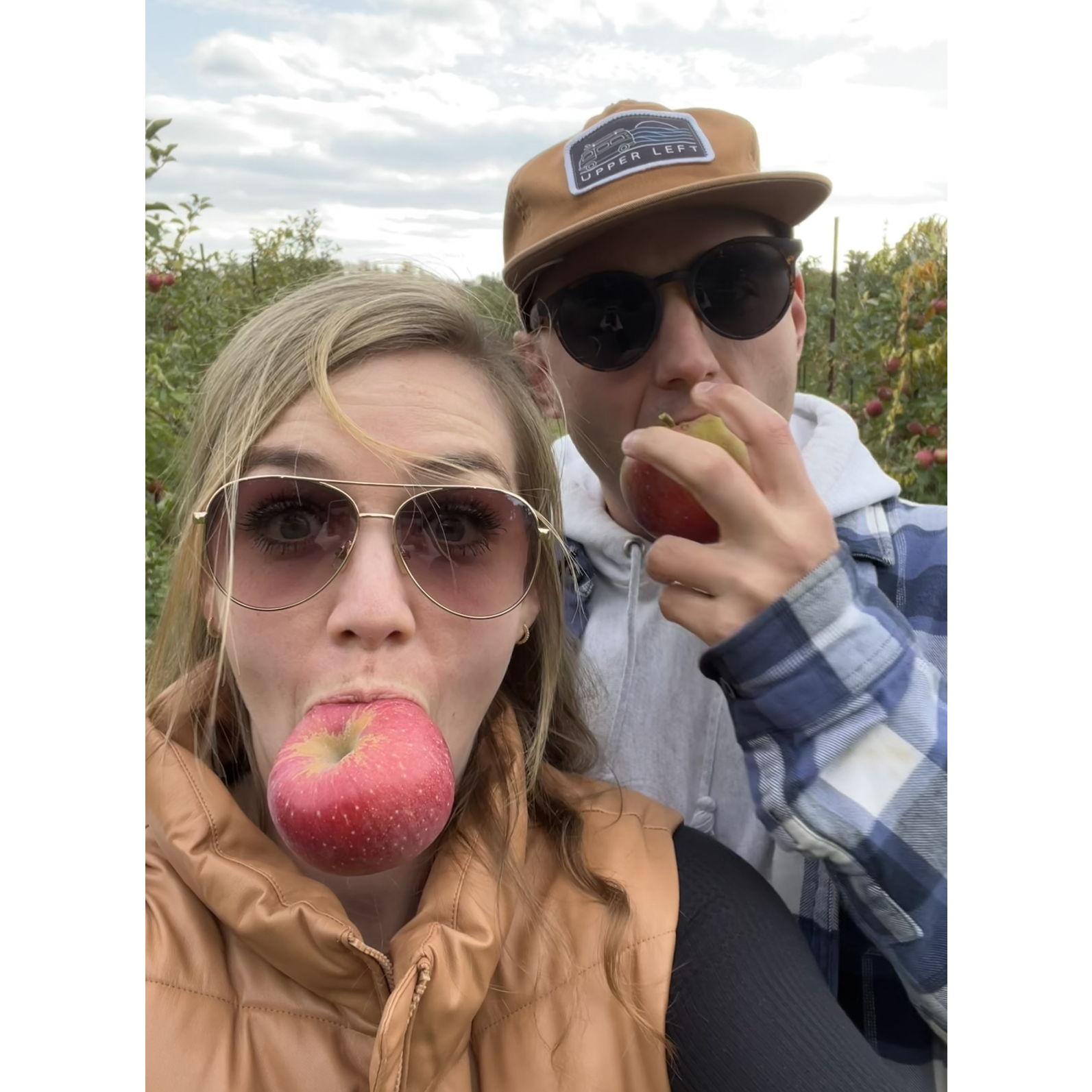 October 16, 2022 - Picking apples in Indiana