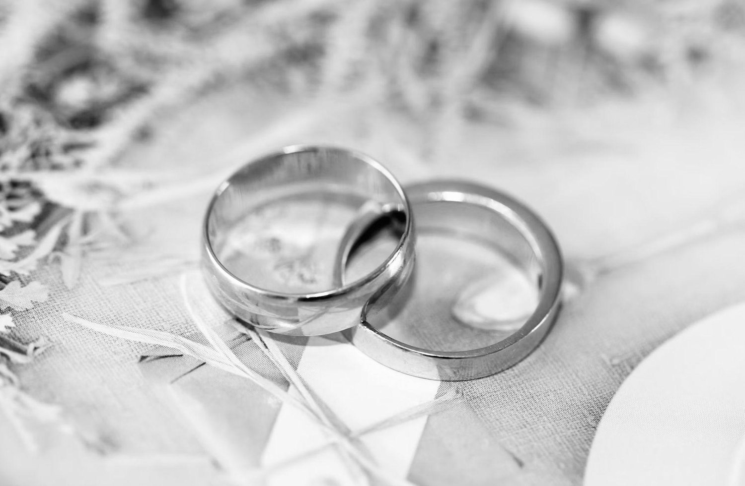 The Wedding Website of Mateo Zalamea and Marcela Ortega