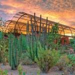 Desert Botanical Garden