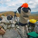 Autumn Migration Hawk Watch Begins