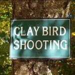 Clay Bird Lessons