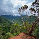 ʻAiea Loop Trailhead