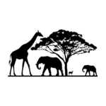 Wildlife Safari