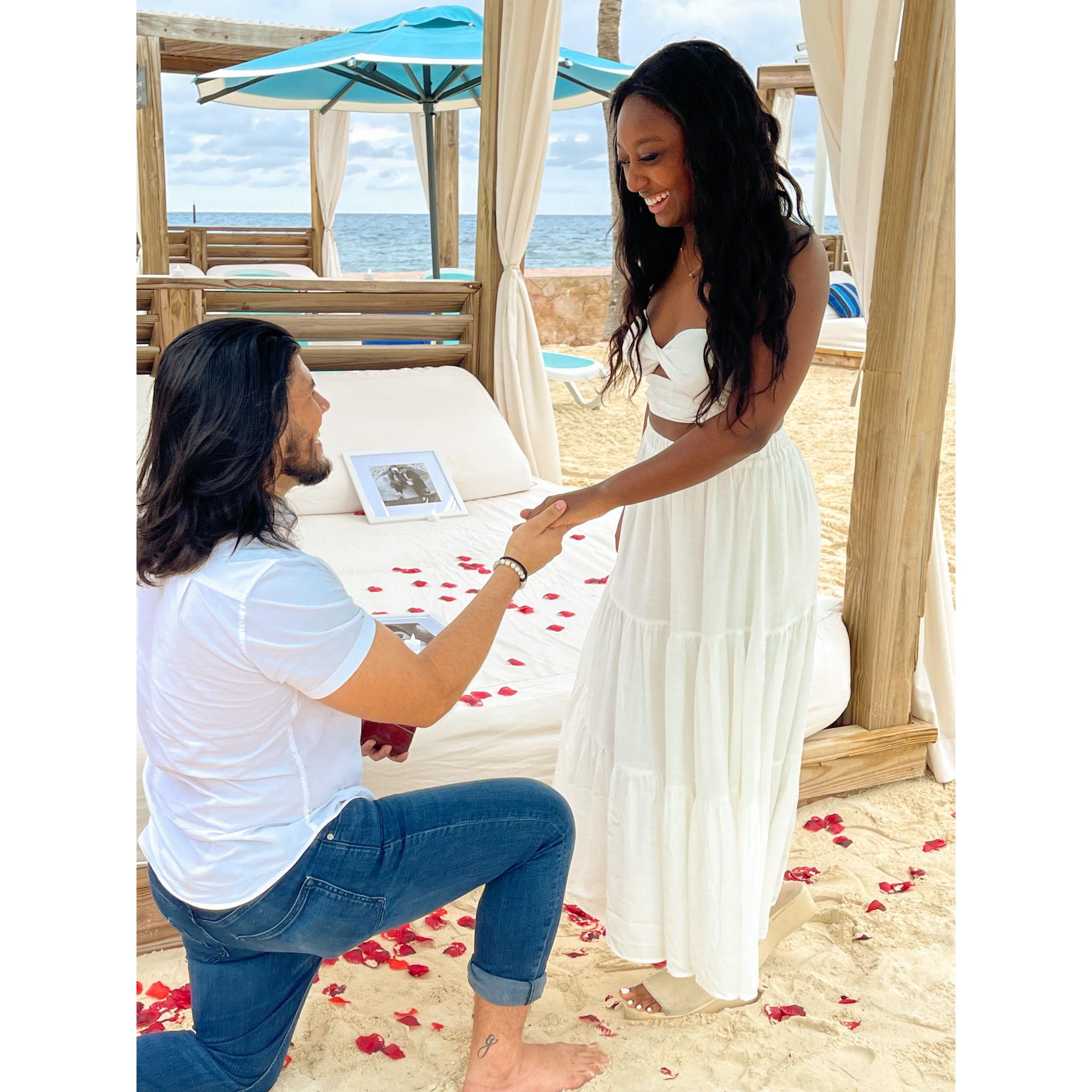 THE PROPOSAL!!