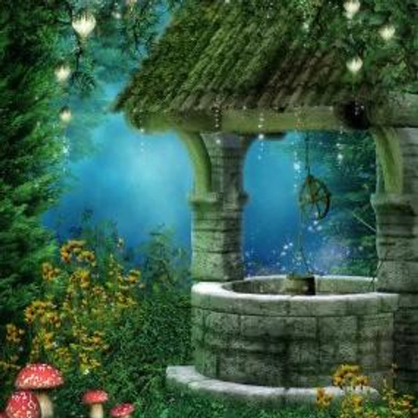 Wishing Well
