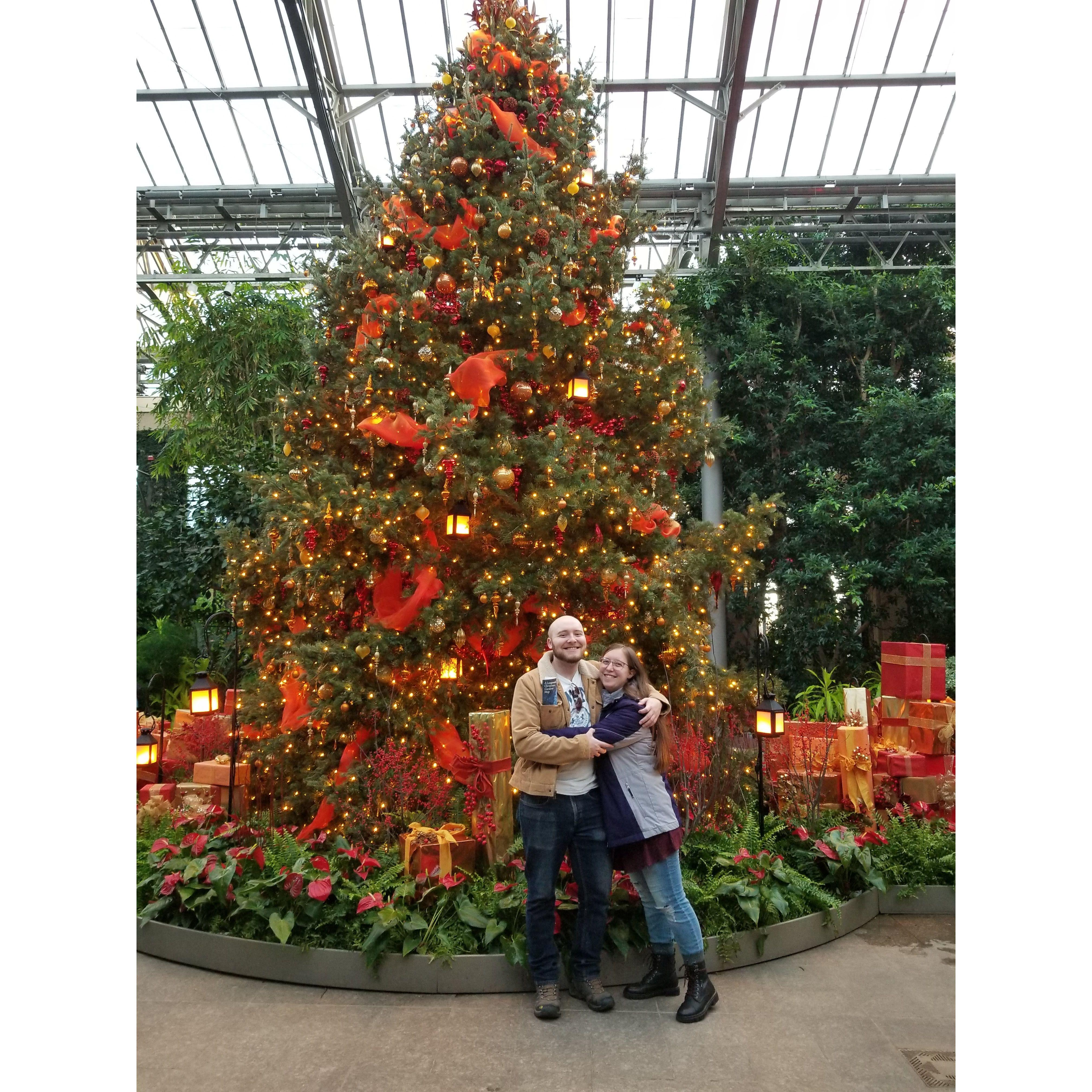 Longwood Gardens (yearly tradition)