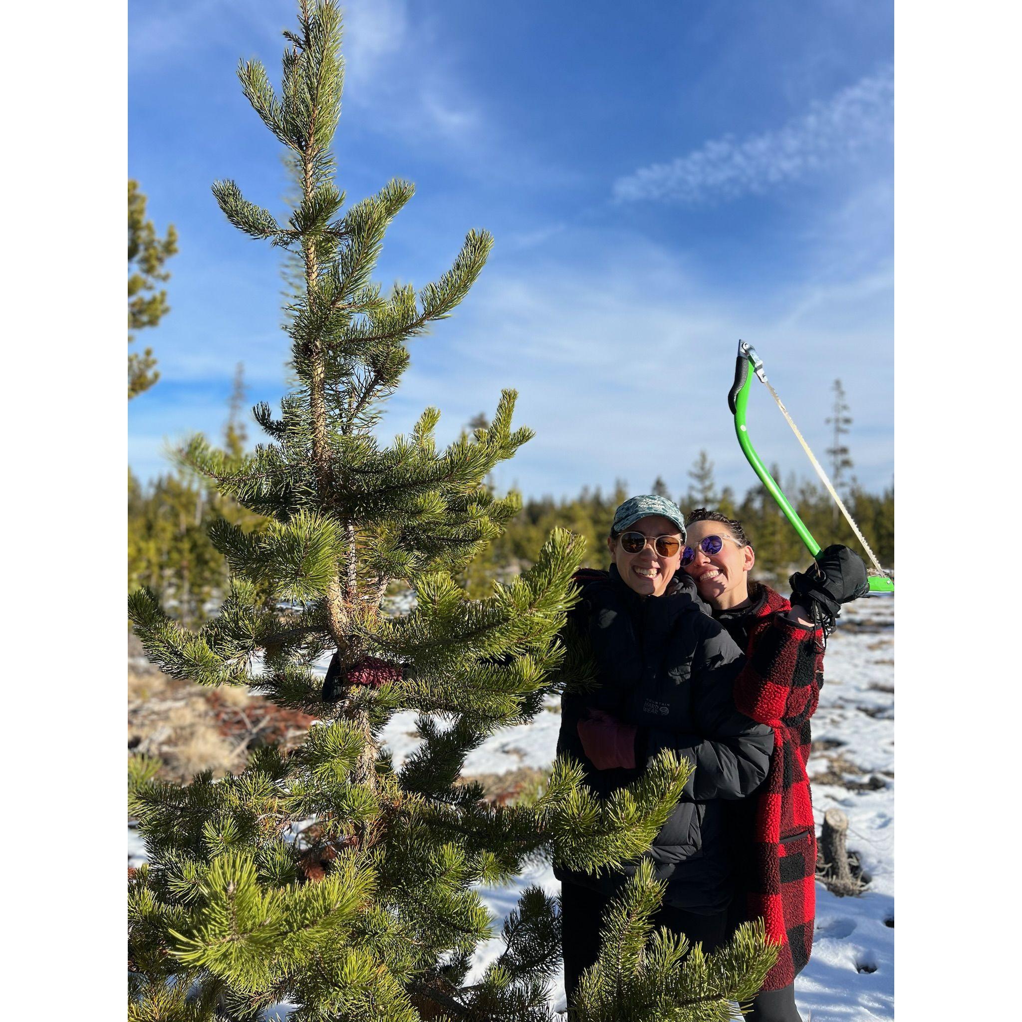 chopping down our first christmas tree in oregon!