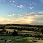 Arrington Vineyards